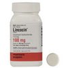 usa-medicine-get-Lincocin usa-medicine-get-Lincocin